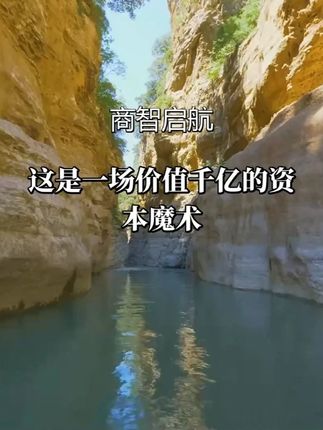 资本运作的秘密:揭秘虚幻背后的百万亿产业链#金融 #30种资本运作模式 #资本运作 #商业思维 #好书分享