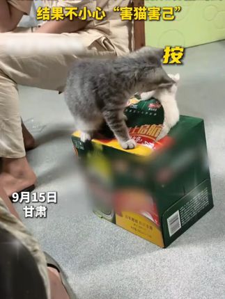 #穿搭 #显瘦穿搭 #小个子穿搭 #裤子 (29gjaq6