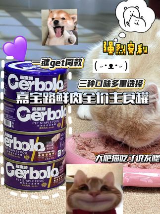嘉宝路鹿肉兔肉鲜肉主食罐 #萌宠好物 #猫咪日记 #猫咪vlog #铲屎官 #猫零食