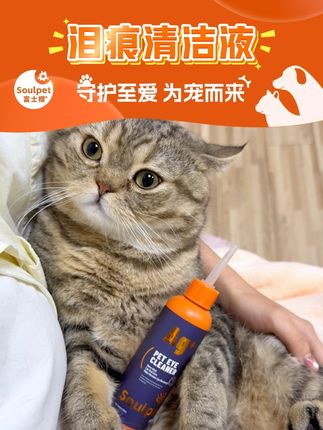 我看谁还把猫养成这样的!#养猫经验分享 #泪痕 #猫咪泪痕