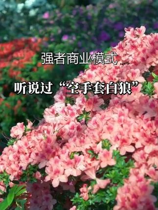 10亿烂账也能变1亿现金?不良资产清算,简直是“空手套白狼”的最高境界!#资本运作 #资本运作大揭秘 #商业思维 #商业思维 #好书分享