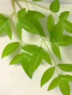 新升级的防水学科分类袋真的太好用了! PVC的材质不仅防水也更加厚实,假期还可以用它当个补习袋!按学科分类好放进书包里,不仅干净整齐 ,拿取也一目了然!#学科分类袋 #补习袋 #文具安利 #得力纽赛 #开学必备