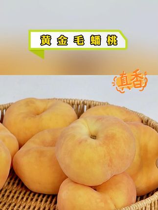 【顺丰京东】山东黄金毛蟠桃4.5/3斤装新鲜当季水果桃子软硬两吃#黄金毛蟠桃 #毛蟠桃 #桃子推荐 #新鲜水果 #快来一起尝个鲜