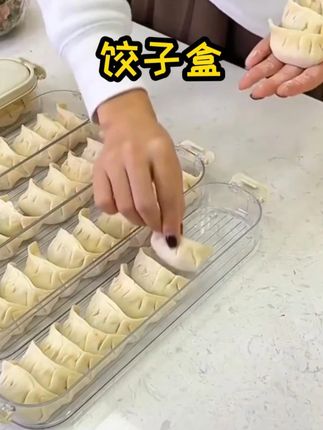 窄款饺子盒,垂直存放、单层锁扣、省空间也好拿取! #日常分享 #饺子盒 #居家好物 #收纳整理