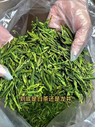 中秋送礼送白茶 浓浓的氨基酸和兰花香,中秋送礼就选这一款#中秋 #茶礼 #茶叶 @DOU+小助手
