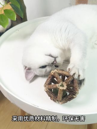 木天蓼+猫薄荷=猫咪快乐核弹! #萌宠好物 #猫咪日记 #猫玩具