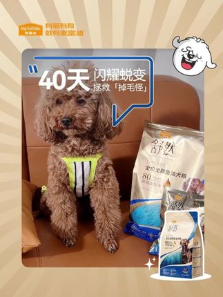 营养全面的狗粮单斤才十多块,还是麦富迪大厂生产!!速点视频链接囤~#狗 #狗粮 #宠物食品 #舒然鱼油狗粮