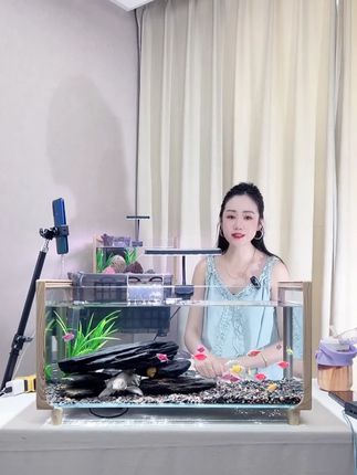 小空间大享受,免运费险的小型生态鱼缸让客厅活起来! 还在东拼西凑并且养不活鱼吗?试试这款自带过滤器的小型鱼缸,不仅过滤强大养活鱼,还有精美造景一整套带回家,省心省力好打理! #养鱼日记#造景鱼缸#鱼缸里的大自然#全民晒宠任务