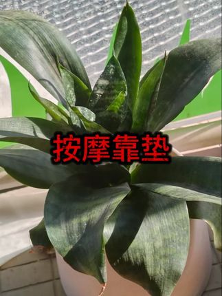 颈椎按摩器颈部腰部背部多功能靠垫肩颈按摩颈椎枕 #按摩枕 #颈椎按摩器 #按摩器
