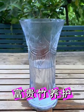 富贵竹专用营养液发财竹观音竹水培植物铜钱草绿植盆栽养花肥料#营养液 #植物营养液 #富贵竹营养液 #营养液植物 #营养液推荐