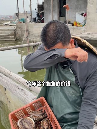 鲍鱼太贵?那是你没吃对!新鲜鲍鱼,新鲜美味,好吃不贵#鲍鱼#火锅季#海鲜
