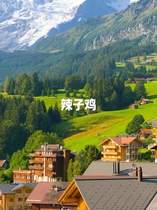 辣椒比肉香的辣子鸡,肉和辣椒都巨好吃,做少了根本不够吃#辣子鸡