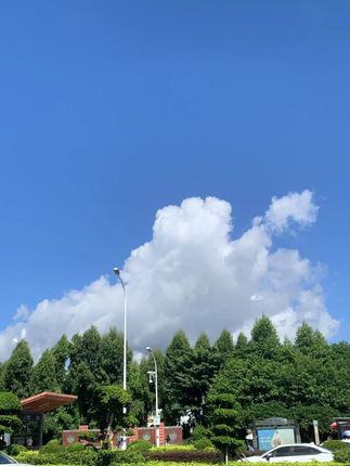 听劝!!!千万不要去外面再买二十多一个的走路气球了,现在居然只要个位数了!价格嘎香!!!都快安排上~#会走路的气球 #动物气球 #儿童气球 #带轮子的气球 #超便宜超划算