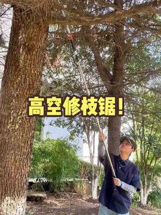 终于买到好的园林工具了,这个伸缩高枝锯,长短可调,站在地上也能轻松剪树枝!#高空锯 #高枝锯 #修枝剪