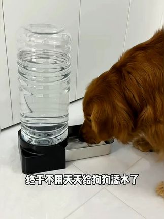 有了这饮水器后再也不担心我家狗口渴了,简直是中大型犬的的梦中情盆啊#狗狗喝水器 #宠物水碗 #狗狗喝水碗推荐 #宠物水盆 #厨房必备神器