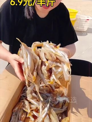 #鱼干 #红娘鱼干#海鱼干