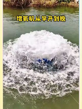鱼塘缺氧的,就用这款粒粒氧,快速增氧,改善底部环境 #水产养殖技术 #水产人