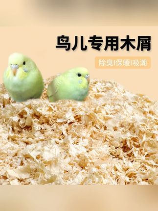#郝劭文   推荐  木屑刨花   鹦鹉专用木屑刨花虎皮玄凤繁殖箱垫料鸟窝鸟巢垫料鸟用品冬天保暖#手养鹦鹉  #好物分享🔥  #真材实料  #纯天然无添加   垫料可以支撑小鸟腿部发育,避免八字腿,能够吸收粪便和尿液,还有保温的作用