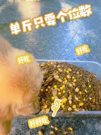 个位数一斤的狗粮,还添加这么多冻干,太实惠了!#狗粮 #狗粮推荐  #沐乐凡
