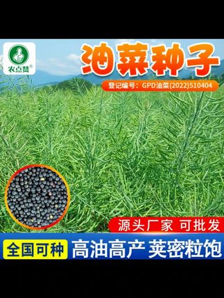 大田油菜籽德5油778高产油菜种子抗病抗倒伏含油量高杂交油菜 大田油菜籽德5油778高产油菜种子抗病抗倒伏含油量高杂交油菜花籽