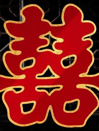 郝劭文推荐#囍字贴纸 #婚房布置 #婚礼大门贴 #烫金喜字 #房门装饰 结婚喜庆贴婚房布置婚礼大门墙壁专用房门可选烫金囍字贴婚庆用品