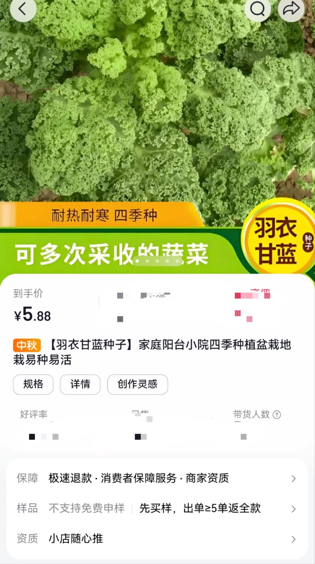 羽衣甘蓝