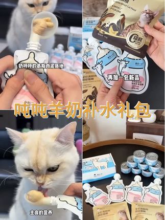 吨吨补水礼包 诚实一口湿粮羊奶汤罐奶瓶酱搭配新品试吃营养补水 #吃货猫 #猫罐头 #诚实一口 #妈呀太香了 #养猫新手