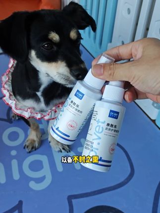 要想猫咪狗狗养的好,宠物皮肤喷剂少不了 #萌宠好物 #宠物皮肤喷剂 #养狗经验分享 #新手养狗 #养宠进阶指南