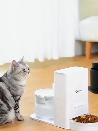 魔力猫盒猫咪饮水机自动喂食器恒温无线喂水器猫咪喝水流动不插电#魔力猫盒猫咪饮水机 #自动喂食器 #喝水流动不插电