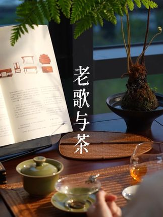 下雨天 老歌与茶最让人心安 听歌 喝茶 是我一天里最放松的时刻#中式美学 #传统文化 #茶生活 @DOU+小助手