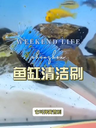 #好东西一起分享 #海鲜水产 #一般人不告诉他 #疏通管道 #水族
