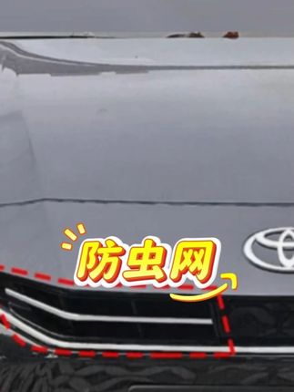 #防蚊网#汽车用品#好物分享#好物推荐