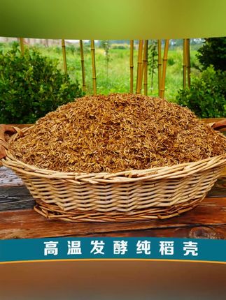 三角梅配土哪有那么复杂?三角梅不挑土壤,只要疏松肥沃 透水透 三角梅配土哪有那么复杂?三角梅不挑土壤,只要疏松肥沃 #透水透气就是好土 #养花小知识 #三角梅 #种植小技巧