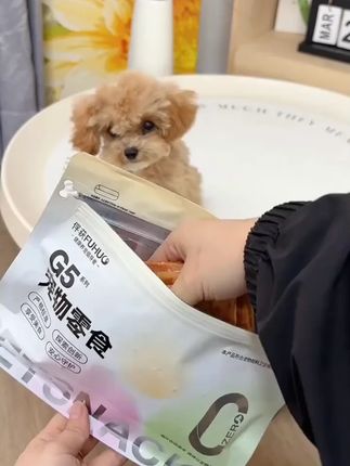 既能磨牙还能解馋的风干肉酱牛皮,狗子真的太喜欢啦 #养狗人 #柯基 #磨牙零食