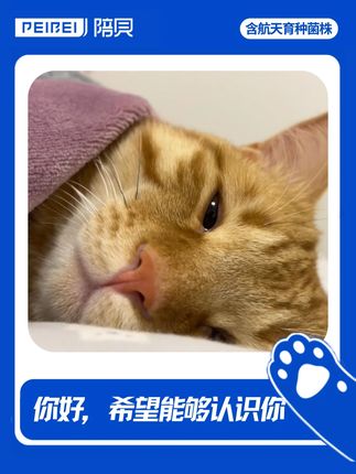 人类你好,希望能够认识你 #陪贝猫粮 #陪贝畅便无臭猫粮 #猫咪 #猫粮 #平价猫粮