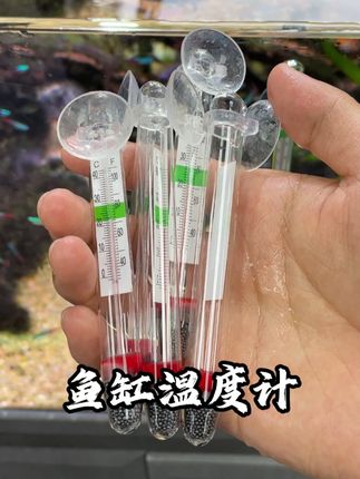 2块9的鱼缸温度计,还包邮,快来薅羊毛了。#鱼缸温度计 #鱼缸里的大自然 #养鱼日记