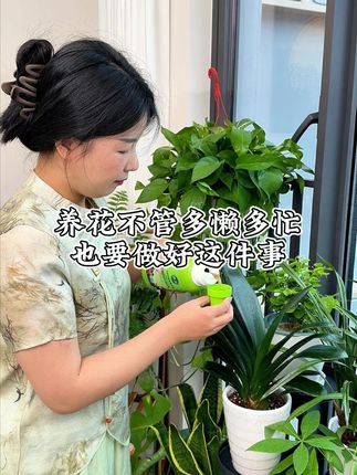 养花不管多懒多忙也要做好这件事,做好它养啥都不怕 #我的花花草草🌸🌸 #养花小知识 #园艺 #盆栽