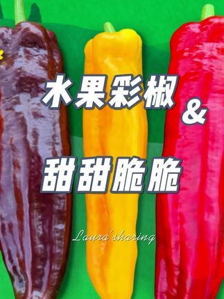 BonBonVita【尝鲜装】甜甜维他水果彩椒225g*3袋 #彩椒 #水果彩椒 #水果彩椒可生食 #好吃到停不下来 #美食