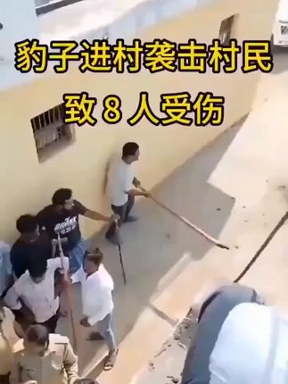 #好东西一起分享 #实用好物 #平价好用