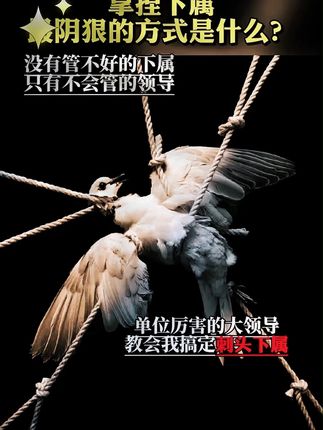 对管理感到迷茫的,别人永远不可能告诉你的, 都在这本《管理者话术》中B25#管理 #管理思维 #好书分享