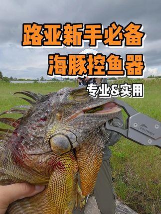 经过我俩多次的实战测试,这款控鱼器是真的好用,也不用担心巨物的挣扎,每一条鱼获都能轻松控住!#控鱼器 #控鱼器推荐 #大豪夫妇