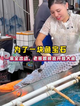 为了鱼宝石老板娘被迫开膛大鱼 为了一块鱼宝石,一家全出动,老板娘被迫开膛大鱼#起鱼鳞技术 #杀鱼技术 #青鱼 #同款小刀