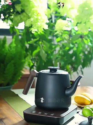 创新智能茶具,一壶全自动上水、烧水、保温一体,高颜现代审美,非常推荐#上水壶 #鸣盏