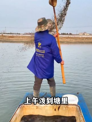 #鱼虾蟹养殖 #肥水 #硅藻种 快速肥水培藻增氧