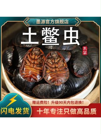 土元土鳖虫土元虫地鳖虫士鳖虫非野生土元干非金边打土元粉#土鳖虫 #土鳖 #家乡特产 #纯天然无添加