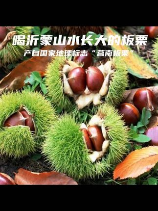 新店特惠【栗小宝助农大礼包】忆镰原味油栗仁板栗之乡软糯香甜即食#栗小宝礼包 #原味油栗仁 #助农商品 #板栗之乡 #即食零食
