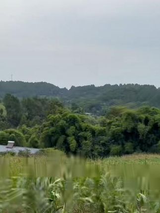 不锈钢复古实木蘑菇铲长柄炒菜勺厨房贵州炒勺汤勺家用厨具铲子 不锈钢复古实木蘑菇铲长柄炒菜勺厨房贵州炒勺汤勺家用厨具铲子#厨房好物 #炒菜勺