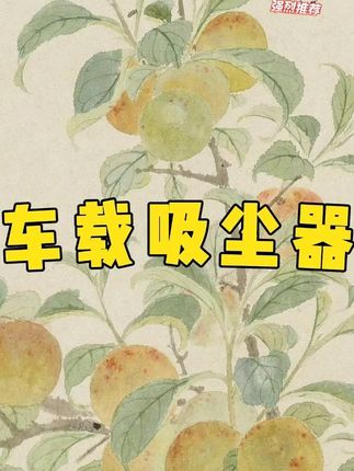 有这个#迷你吸尘器 ,轻松搞定车内卫生