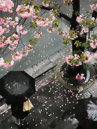 小土豆吸管杯儿童水杯喝奶宝宝PPSU学饮杯鸭嘴杯喝水1岁以上奶瓶