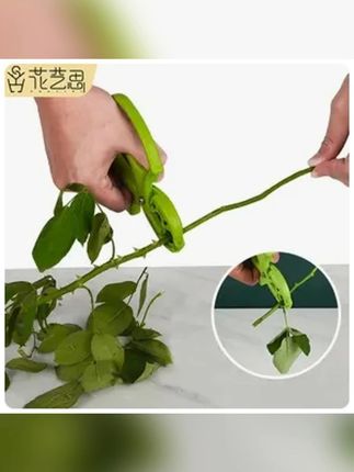 花艺花店打刺去叶修枝插花养花可换刀片多功能花卉专用剪刀